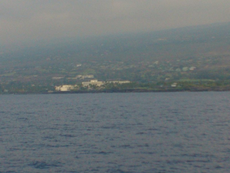 WP_000060