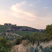 Previous