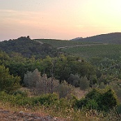 Previous
