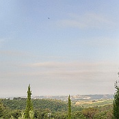 Previous