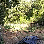 Previous