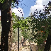 Previous