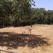 Previous