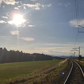Previous