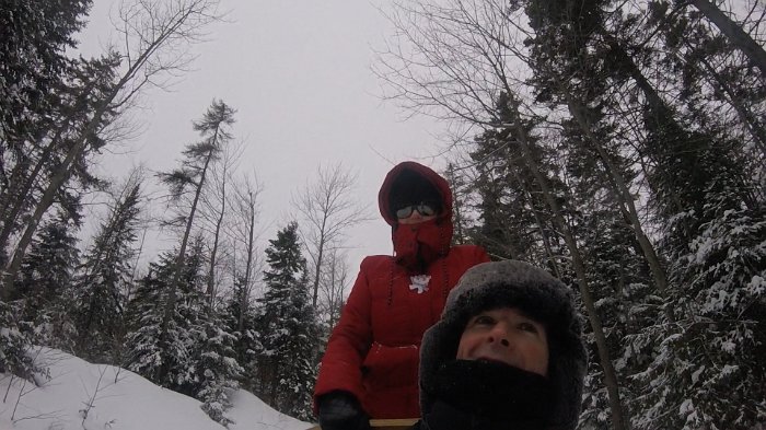 dogsled4