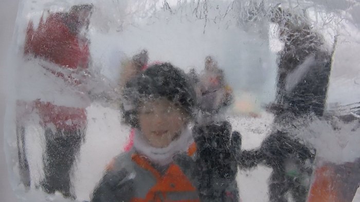 ice-sculpture7