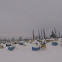 dogsled1
