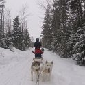 dogsled3