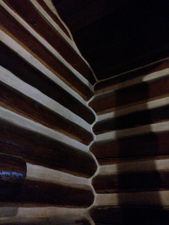 WP_007043