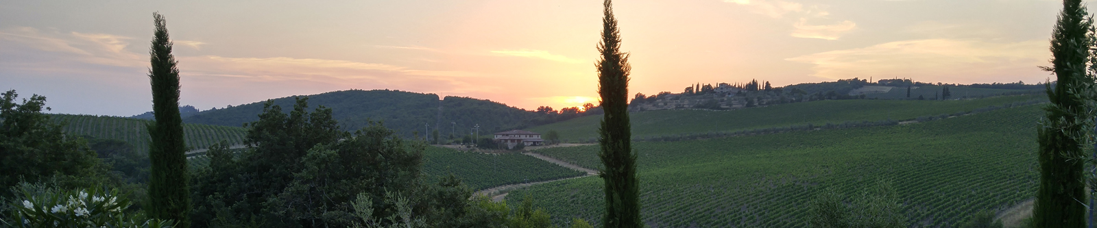 Things We Get Up To...